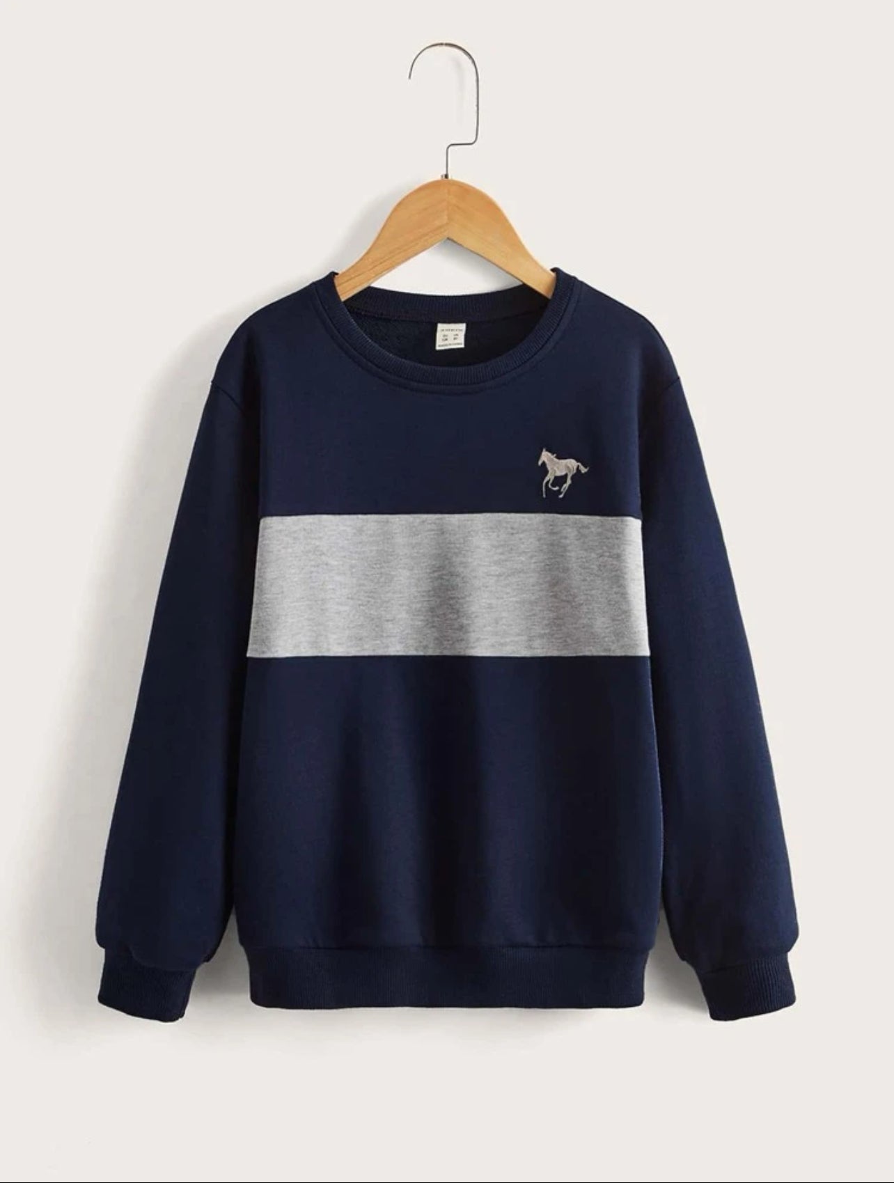 SHEIN Kids EVRYDAY Boys Horse Embroidery Colorblock Pullover - 7,9 Years