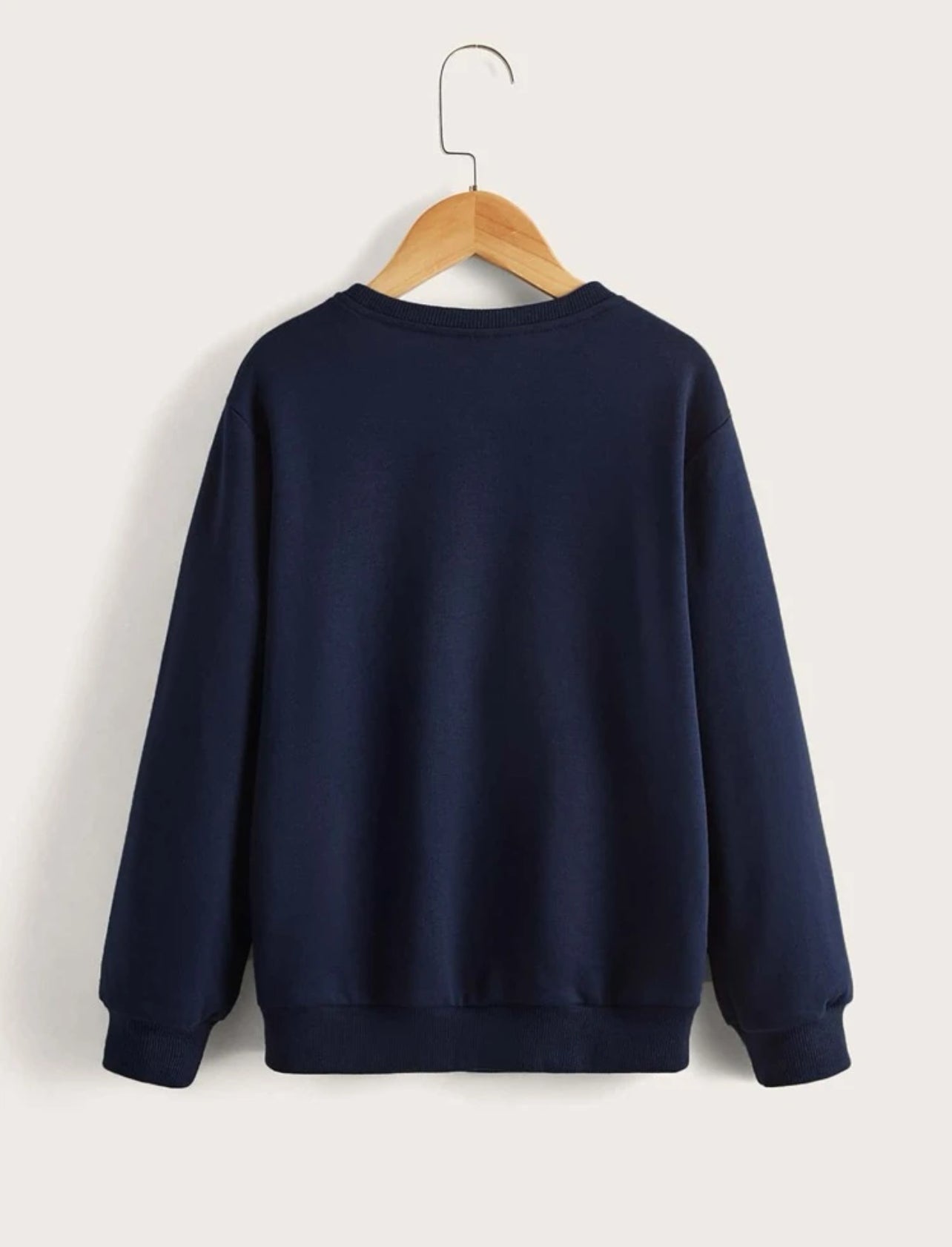 SHEIN Kids EVRYDAY Boys Horse Embroidery Colorblock Pullover - 7,9 Years