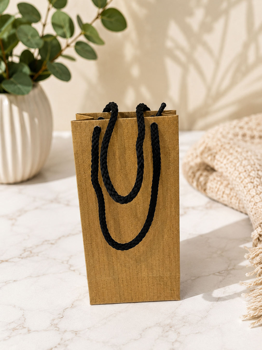 Kraft Paper Gift Bag with Black Braided Handles