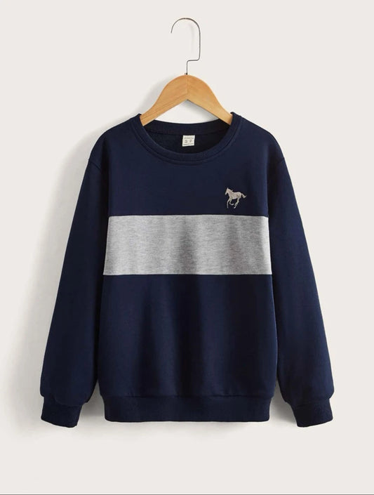 SHEIN Kids EVRYDAY Boys Horse Embroidery Colorblock Pullover - 7,9 Years