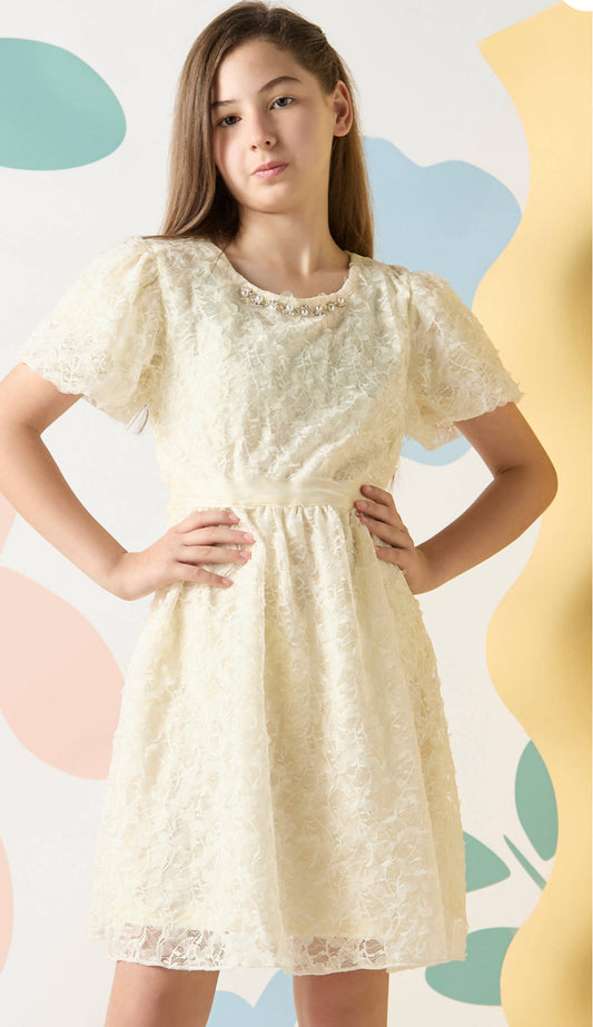 Textured Balloon Sleeves A-Line Dress - 11 Years