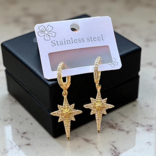 Sterling Stainless Steel Sun Earrings