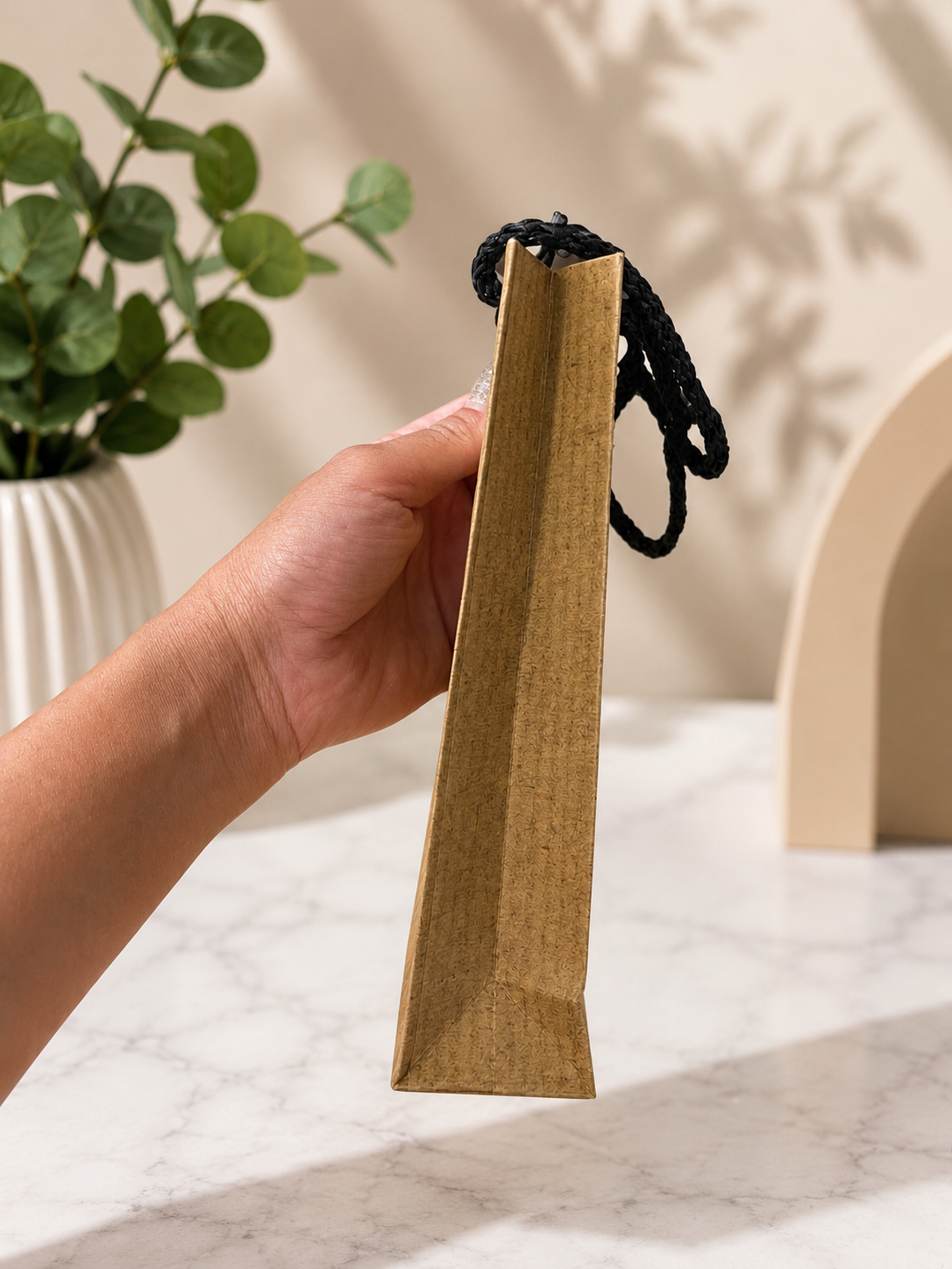Kraft Paper Gift Bag with Black Braided Handles