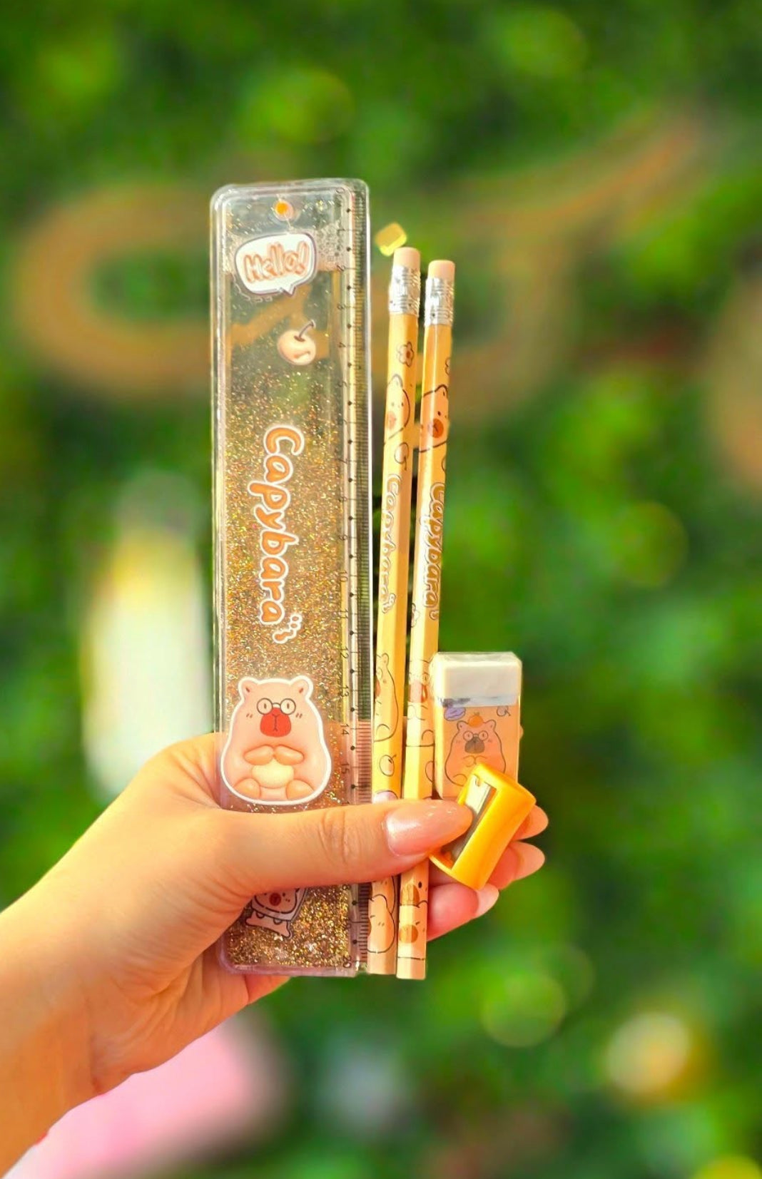 5Pcs Cartoon Lovely Capybara Stationery Set