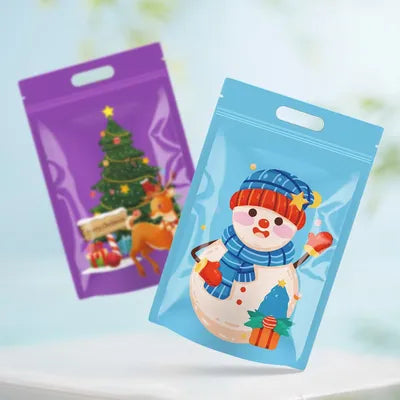 Christmas Gift Bags with Handles – Assorted Festive Designs, Pack of 6